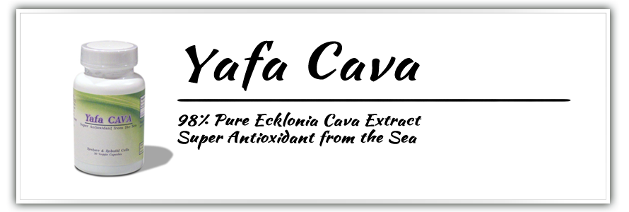 Yafa Cava - 98% Pure Ecklonia Cava Extract